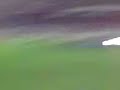 Deportivo Pasto - Tribunas Despues De La Final Contra El Cal