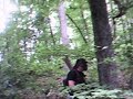 Wolf Creek Paintball: HEAT - Operation Cedar Falls Wolf Creek Paintball: HEAT - Operation Cedar Falls