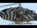 The Helicopter Egg Drop