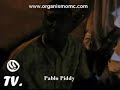 DVC - Pablo Piddy Free Style Dominicano (organismomc.com)