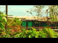 Witness - Artscape - Bajamar Ballad