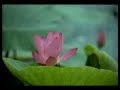 EXTREEMLY AMAZING!!!! duaa khatm by shuraim EXTREEMLY AMAZING!!!! duaa khatm by shuraim