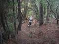 videos de La Spezia Freeride!!!