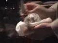 Ice Ball Carving