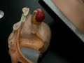 female-reproductive-organs-part-i.html