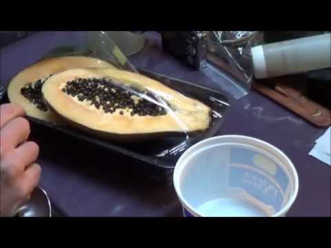 how to harvest papaya seeds