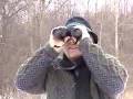 ivory-billed woodpecker
