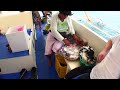Diving trip to Bohol, Philippines (part 2/2)