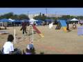 videos de 2008-11-22 USDAA Caramel P1 STD