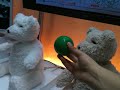 13個のセンサー、300ものアクションを誇る高性能テディベア・ロボット by Fujitsuのサムネイル