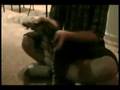Michael Bacolas and his dancing cats