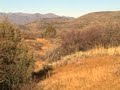 www.lastbreathproject.com Daily Hike