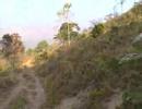 FINCA DE 695 HECTAREAS (EN VENTA)