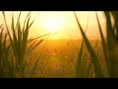 Soft - Relaxing instrumental music: A slow, soft and peaceful music piece, for meditation or creative thinking, work, studying or doing your homework, or simply to ...