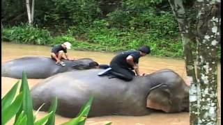 GlobeTrotter Jon Haggins TV in Thailand Pt 5