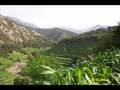 kunar