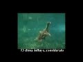 tips de pesca