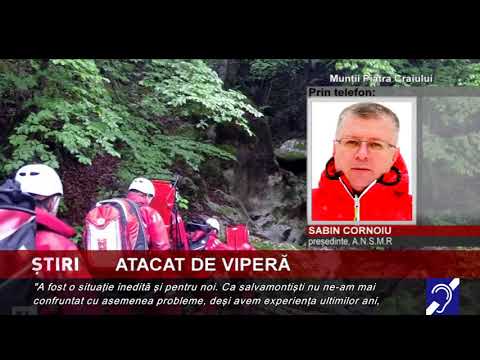 Drumeț atacat de viperă