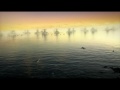 Red Alert 3 - Japanese Invasion HD.mp4