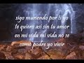 Yo te voy a amar