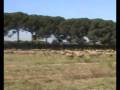 videos de 09 Ottobre 2008 - La Terra dei Fuochi - 