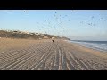 Sea Gull run Sea Gull run