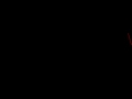 SDC11207