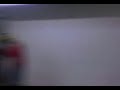Falcão Treinando