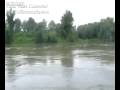 tiszai szemét tiszai szemét