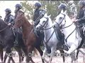 Cavalaria PMSC em treinamento
