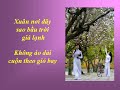 XUÂN NƠI ĐÂY - Nhạc Võ Tá Hân - Thơ Dư Thị Diễm Buồn