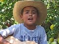 Grupo Los Jalapeños Del Norte de Purepero Michoacan.