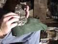 Flintknapping Tallahatta Quartzite 1 of 2
