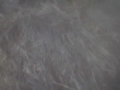 Click here to watch this video Learning Disabled Woman Shows Campsite Morning of 2/20/2012-She comes home that Night its all Gone-
