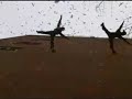 Xara Acrobatic Acts, Vertical Catwalk
