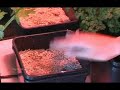Hydrocentre Gravity Fed Hydroponic Network System Hydrocentre Gravity Fed Hydroponic Network System
