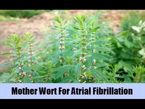how to cure afib naturally
