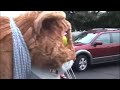 Cat Movie Cat Movie