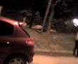 la-paloma-asesinaaaa