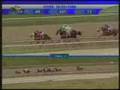 videos de Clasico Hipodromo La Rinconada 2008