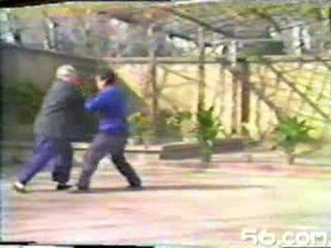 Fu Zhongwen - Tui Shou (Pushing Hands) See video