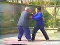 Fu Zhong Wen - Tui Shou