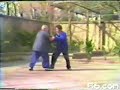 Fu Zhong Wen - Tui Shou