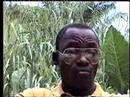 Marius Billy interview - Afrique Profonde History part 1