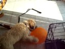 Bursting a balloon