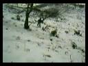 freeride_picdujer.avi