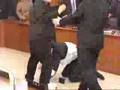 Politician Fight - Judo master