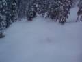 tweaked drop