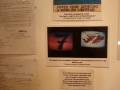 Islas Malvinas Museo