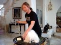 Demo video showing how to measure...